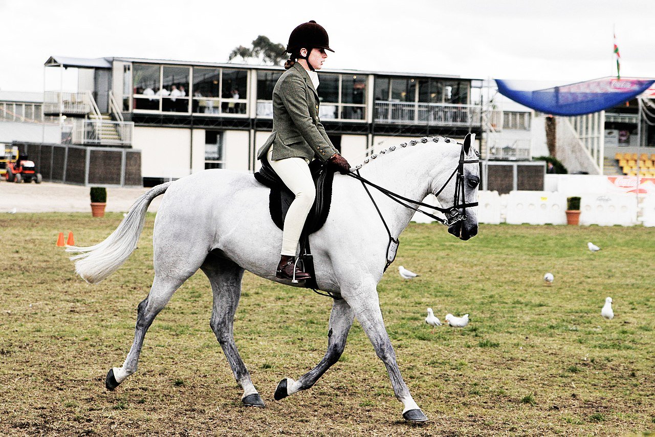 Horse Racing